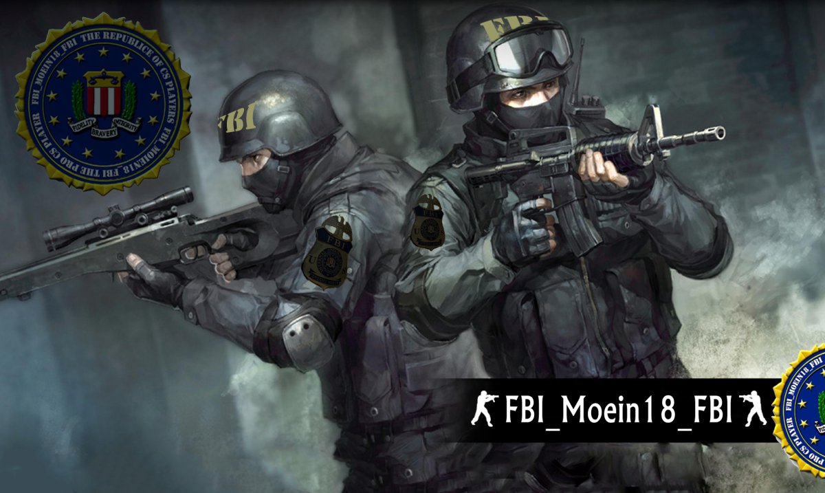 FBI Cover2.jpg